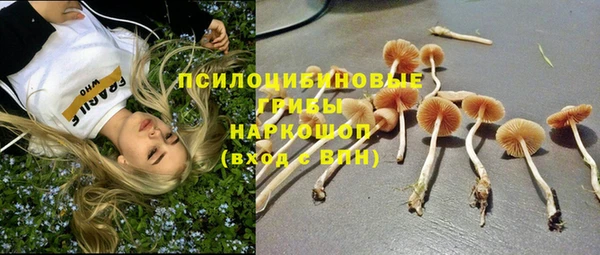 марки lsd Дмитров
