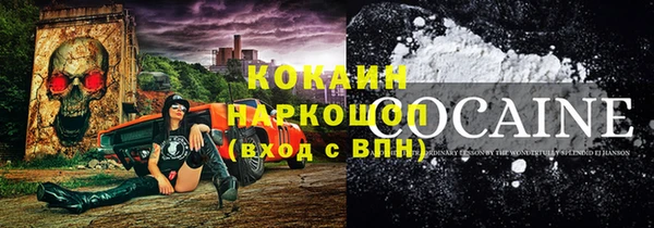 шишки Гусь-Хрустальный
