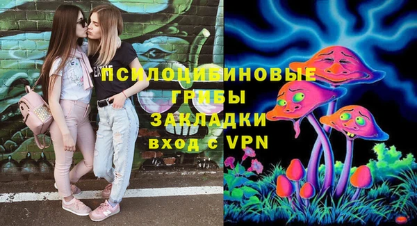 спайс Дмитровск
