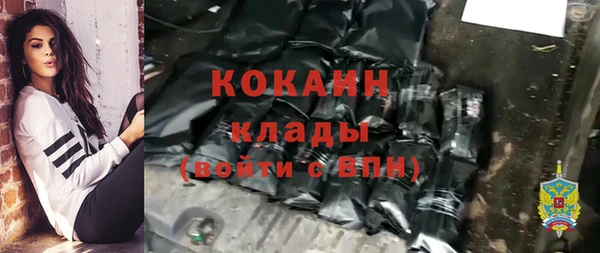 спайс Ельня